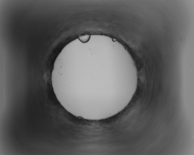 X0000092021495200710041034