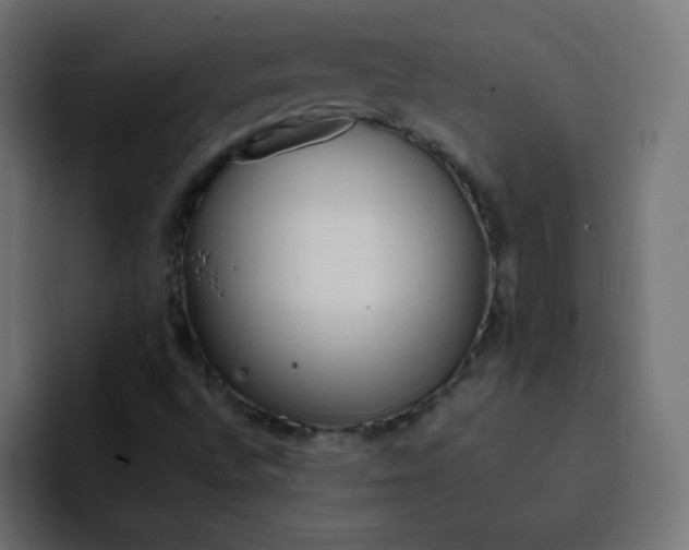 X0000092021496200710041034