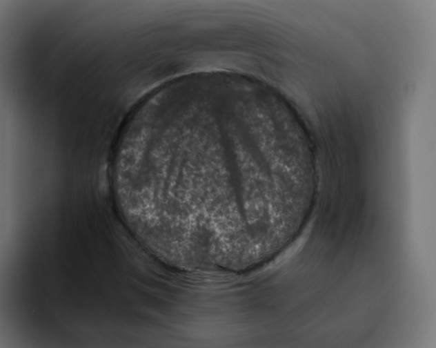 X0000092021497200710041034