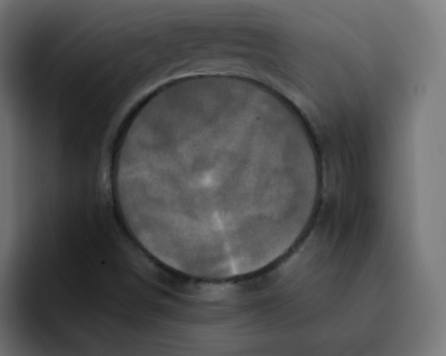 X0000092021498200710041034