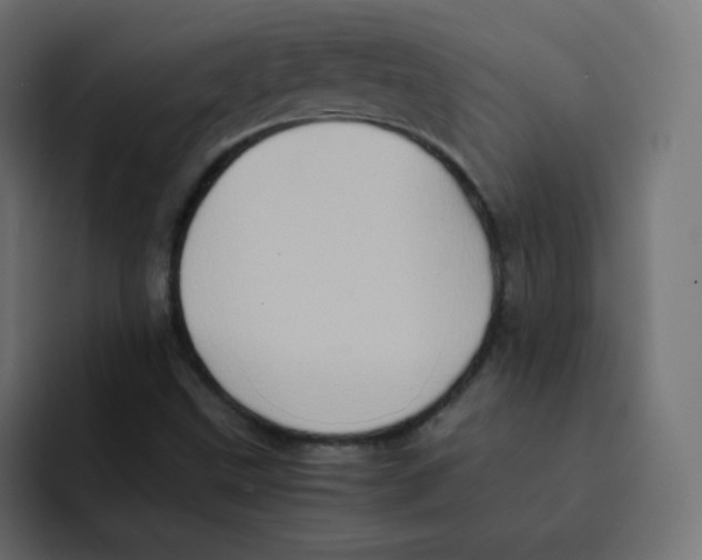 X0000092021499200710041034