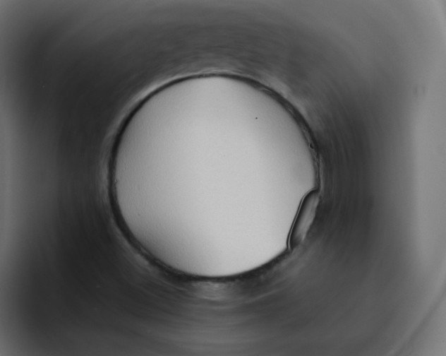 X0000092021500200710041034