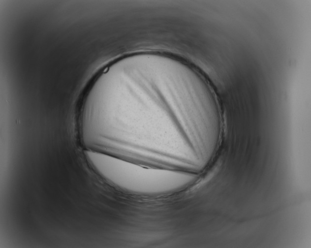 X0000092021501200710041034