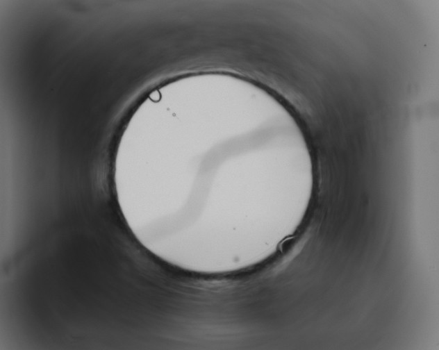 X0000092021502200710041034