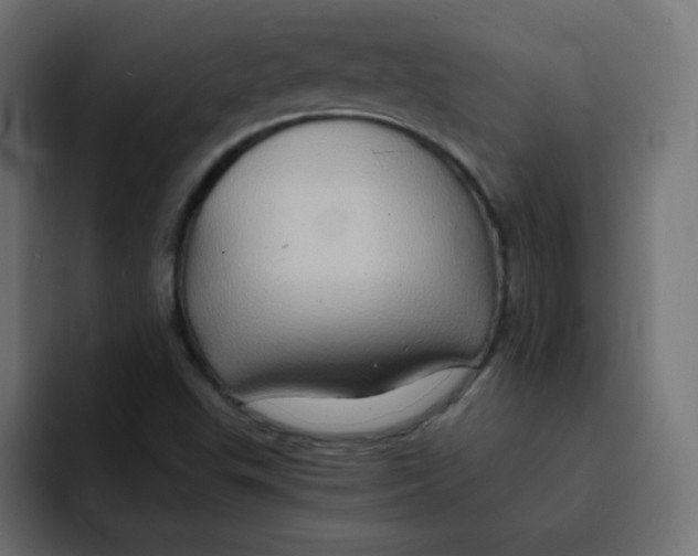 X0000092021503200710041034