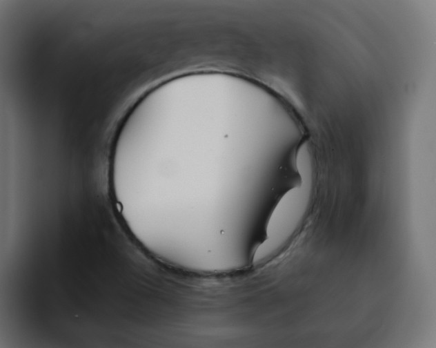 X0000092021504200710041034