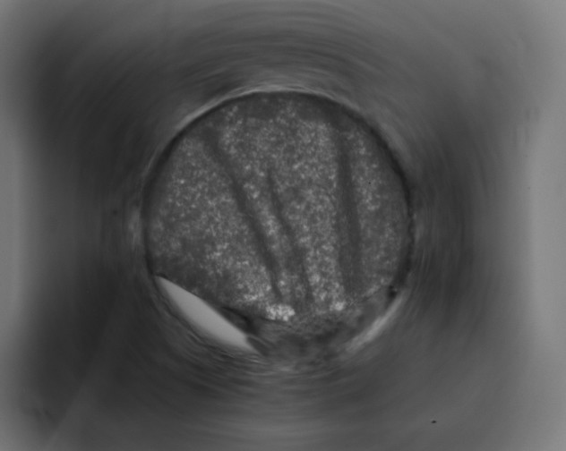 X0000092021505200710041034