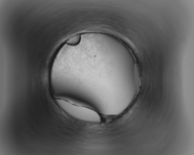 X0000092021506200710041034