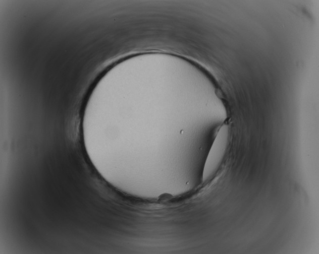 X0000092021507200710041034