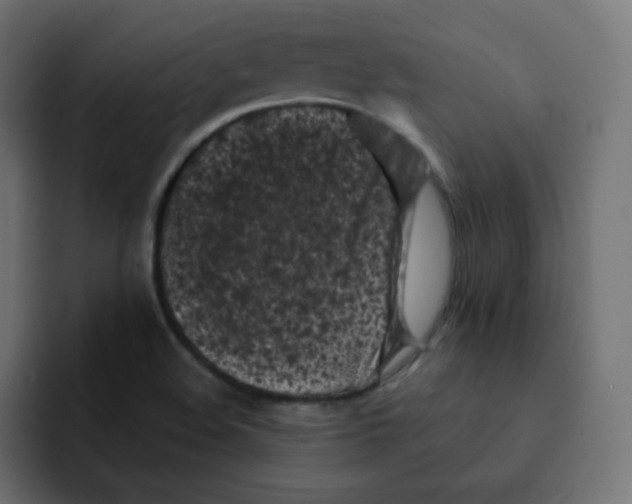 X0000092021508200710041034