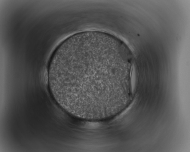 X0000092021509200710041034