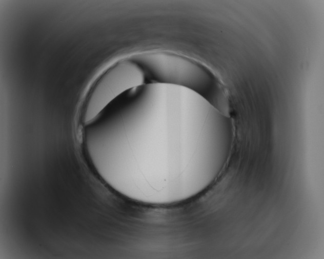 X0000092021510200710041034