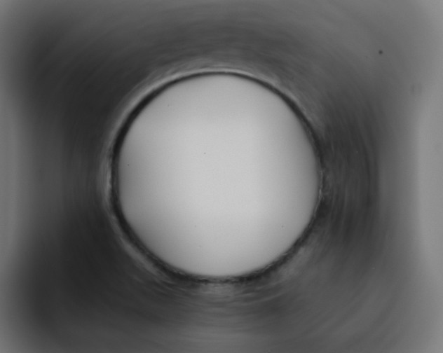 X0000092021511200710041034