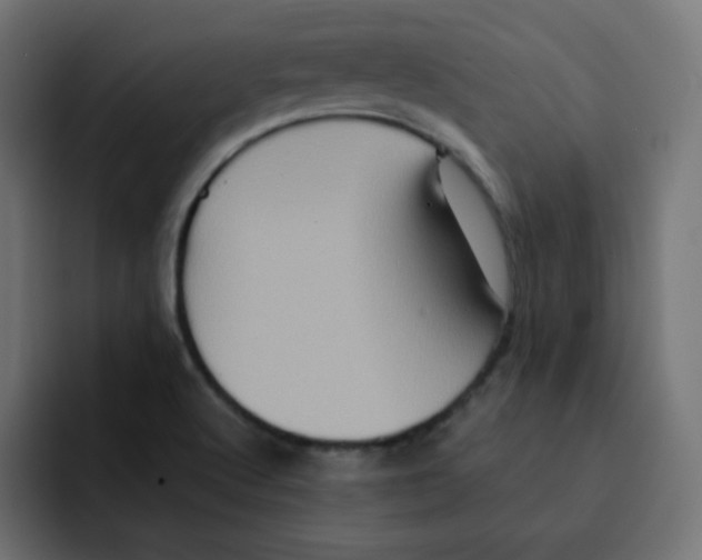 X0000092021512200710041034