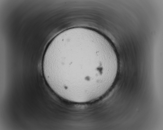 X0000092021513200710041034