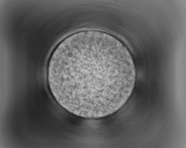 X0000092021514200710041034