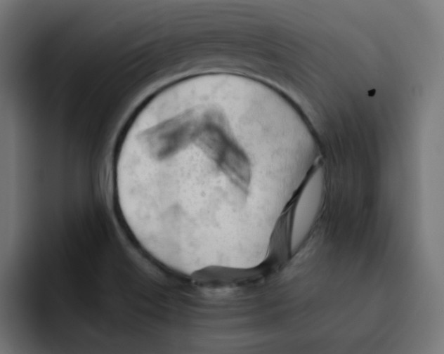 X0000092021515200710041034