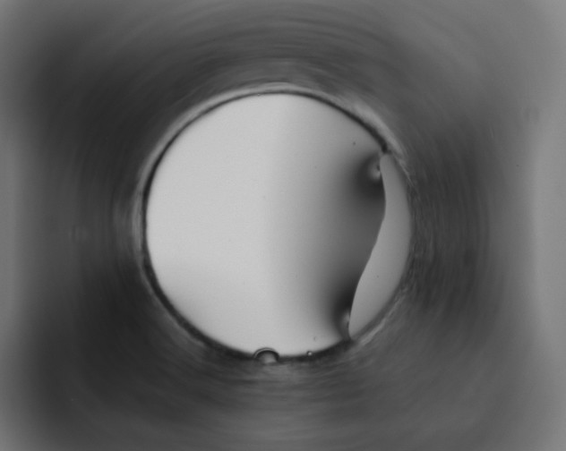 X0000092021516200710041034