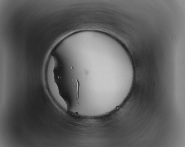 X0000092021517200710041034