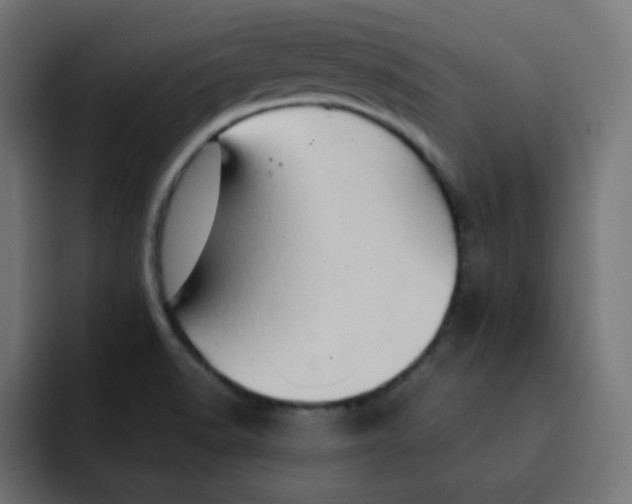 X0000092021518200710041034