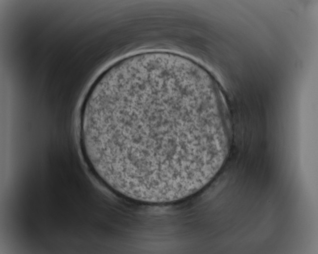 X0000092021519200710041034