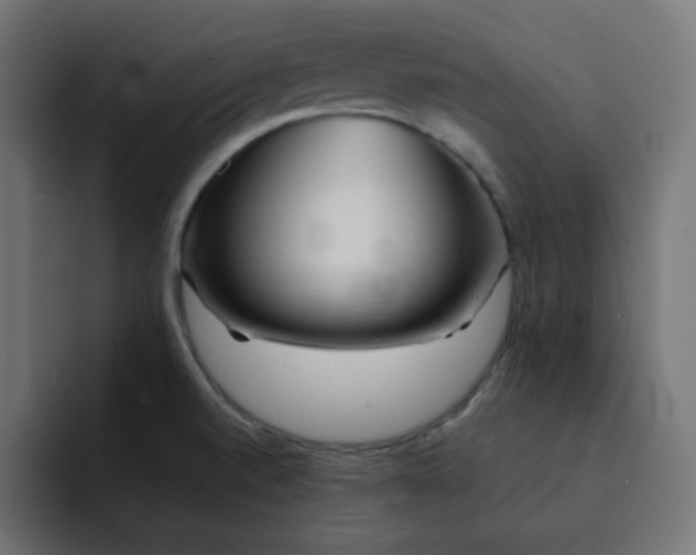 X0000092021520200710041034