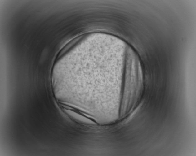 X0000092021521200710041034