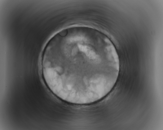 X0000092021522200710041034