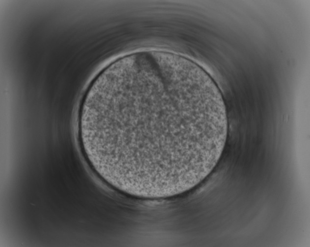 X0000092021523200710041034