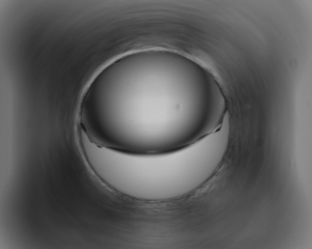 X0000092021524200710041034