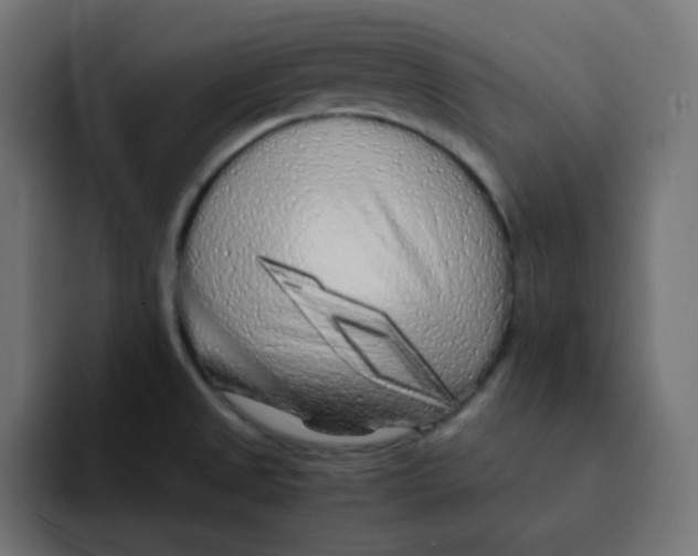X0000092021525200710041034