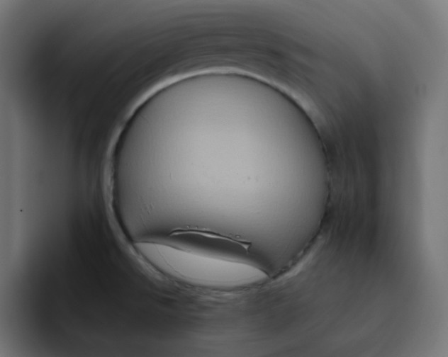 X0000092021526200710041034