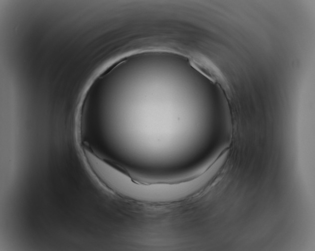 X0000092021528200710041034