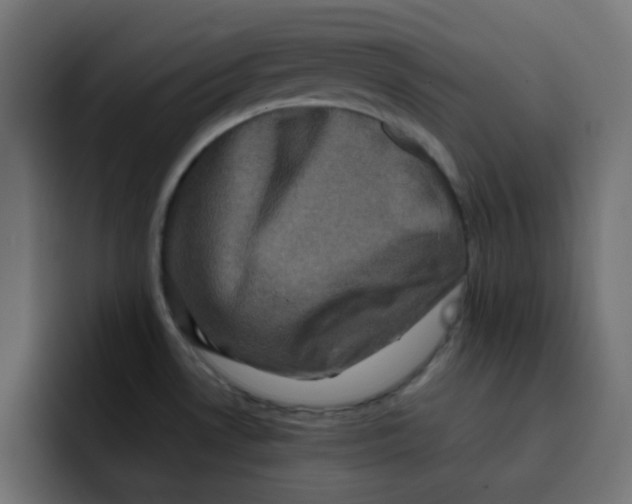 X0000092021530200710041034