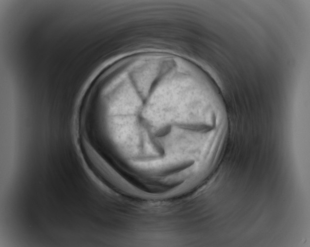 X0000092021531200710041034