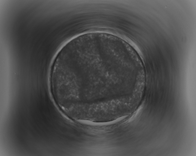 X0000092021533200710041034