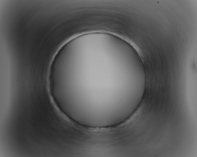 X0000092021534200710041034