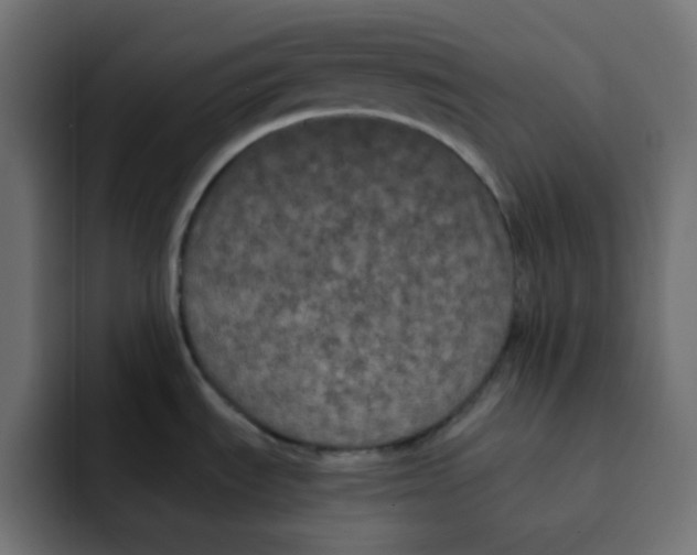 X0000092021535200710041034