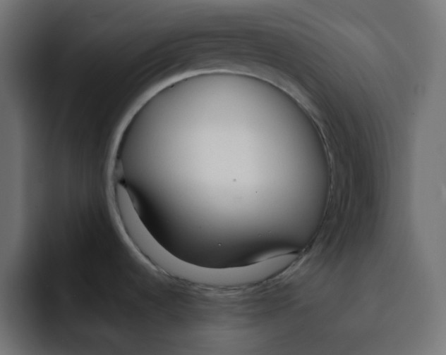 X0000092021536200710041034