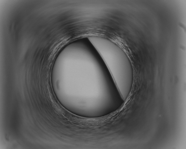 X0000092030001200709061400