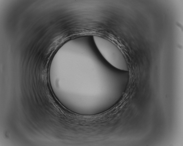 X0000092030002200709061400