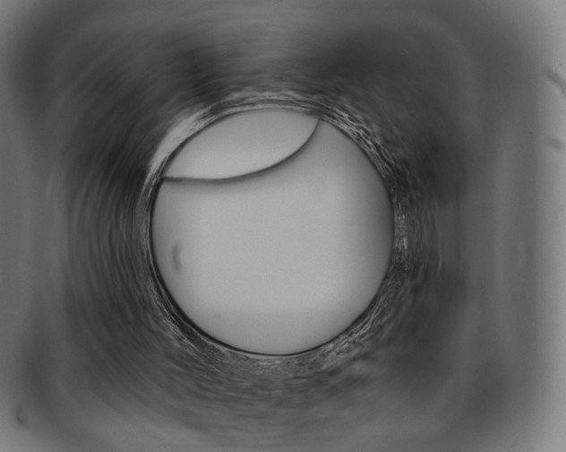 X0000092030004200709061400