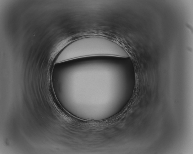 X0000092030005200709061400