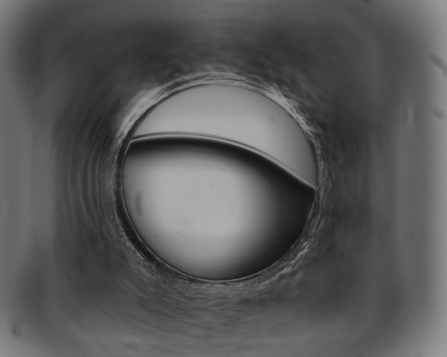 X0000092030007200709061400