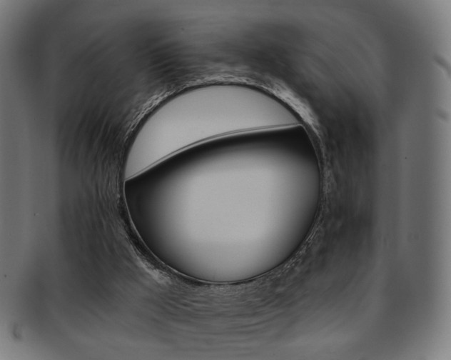 X0000092030009200709061400