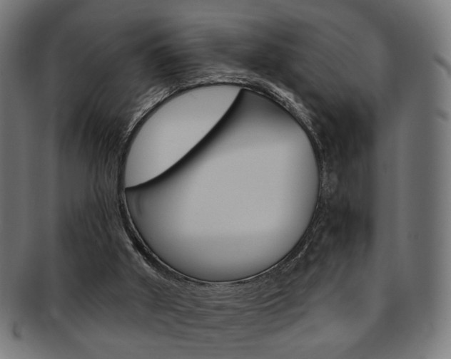 X0000092030010200709061400