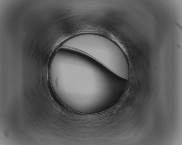 X0000092030011200709061400