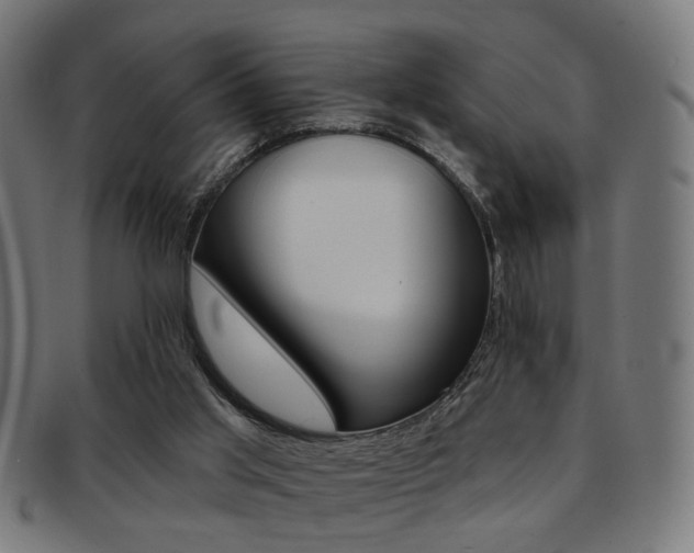 X0000092030013200709061400
