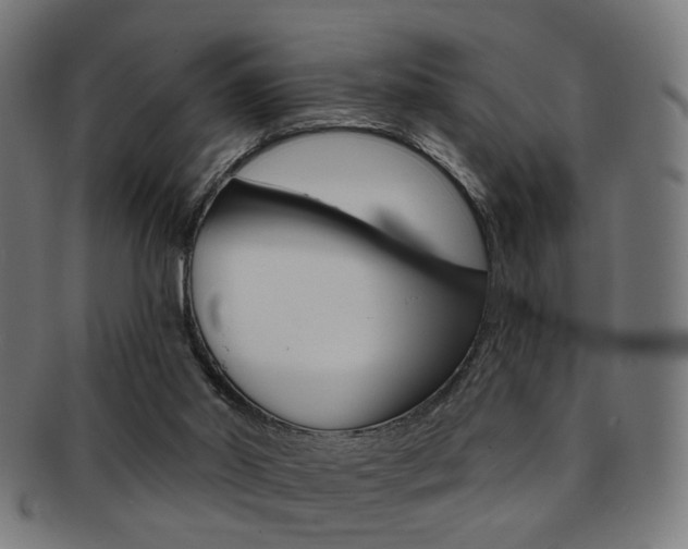 X0000092030014200709061400