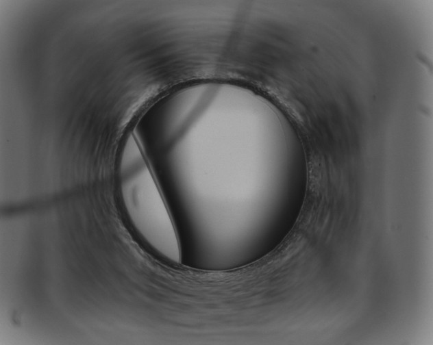 X0000092030015200709061400